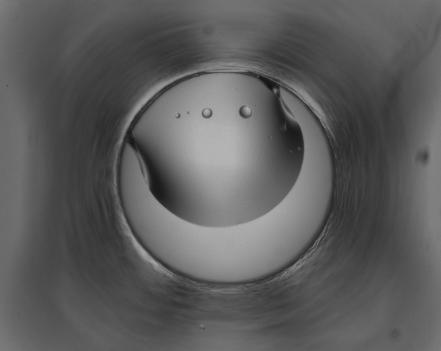 X0000096981484200803071018