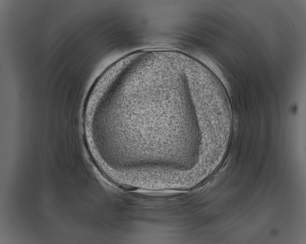 X0000096981485200803071018