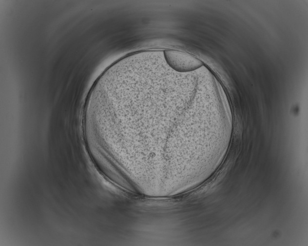 X0000096981486200803071018