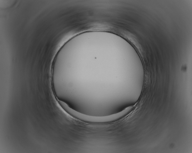 X0000096981487200803071018