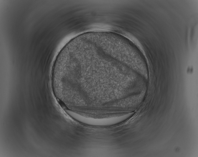 X0000096981488200803071018