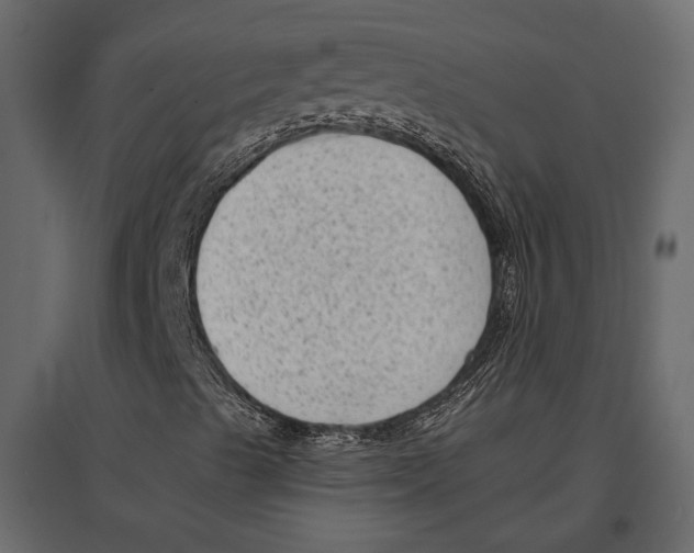 X0000096981489200803071017