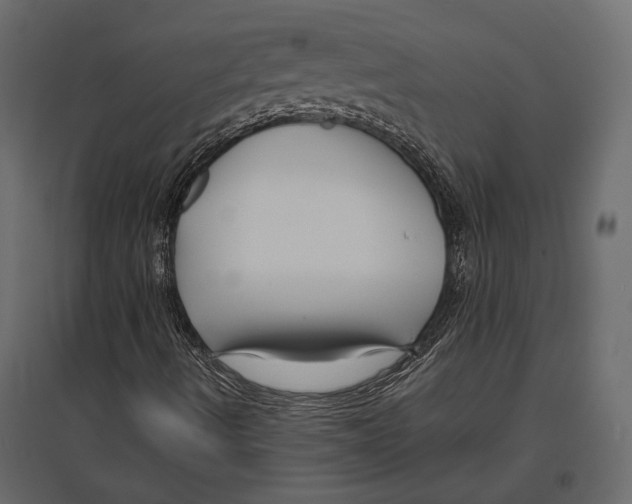 X0000096981490200803071017