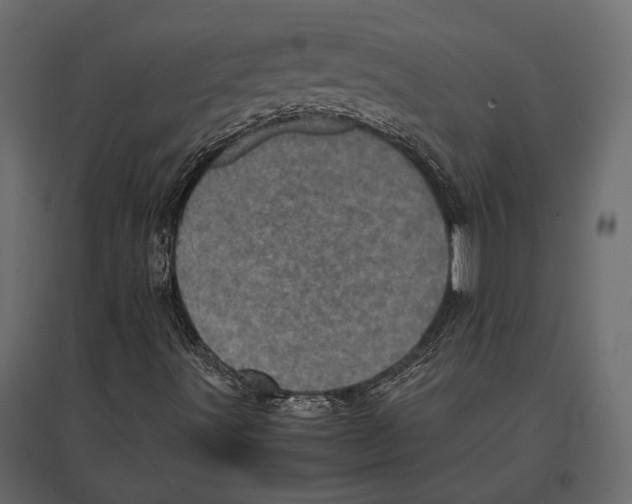 X0000096981491200803071017