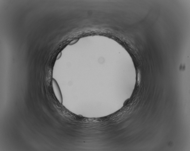 X0000096981492200803071017