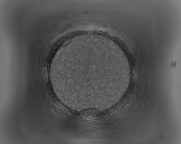 X0000096981493200803071017