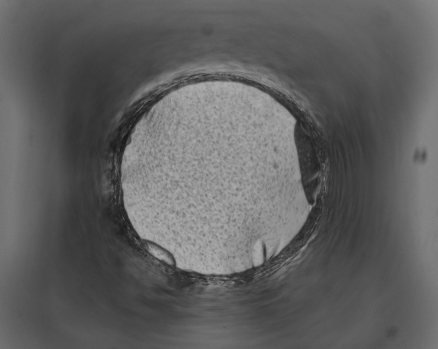 X0000096981494200803071017