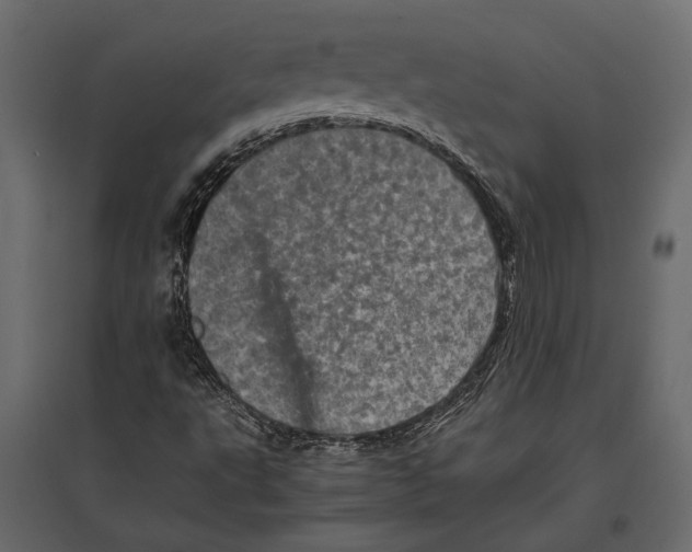 X0000096981495200803071017