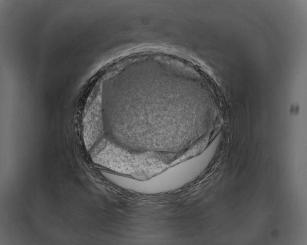 X0000096981496200803071017