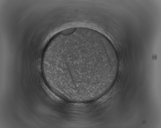 X0000096981499200803071017