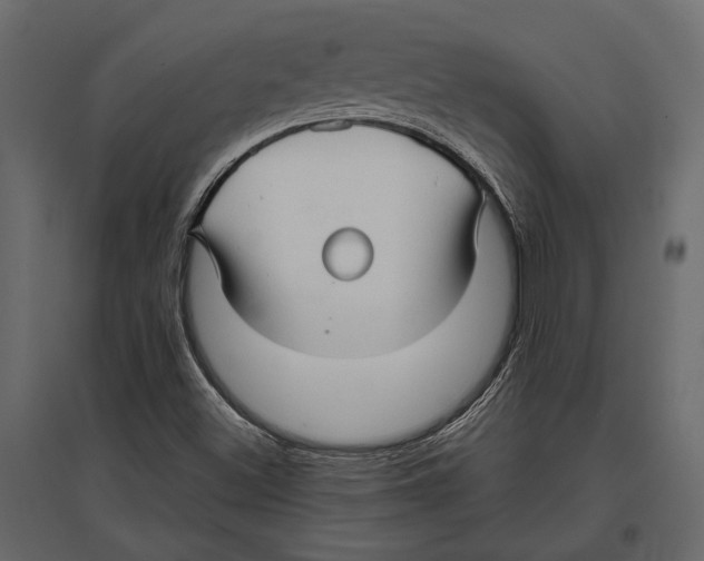 X0000096981500200803071017