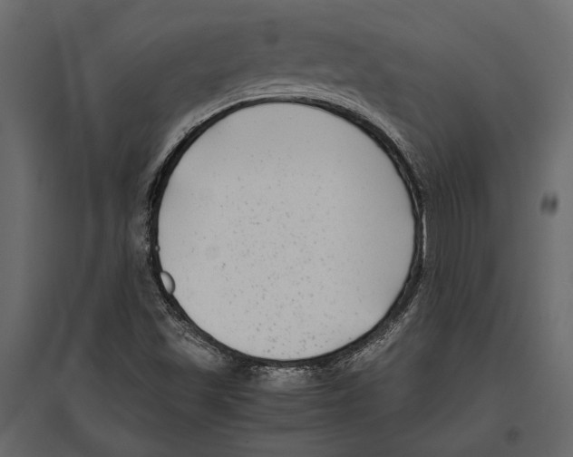 X0000096981501200803071017