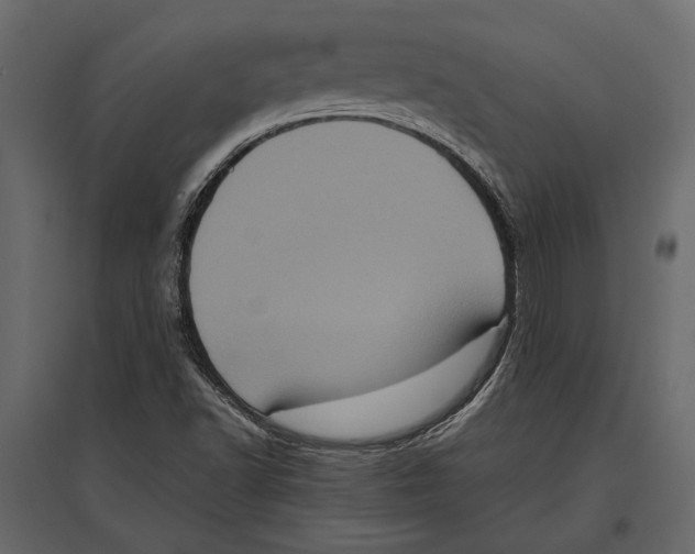 X0000096981502200803071017