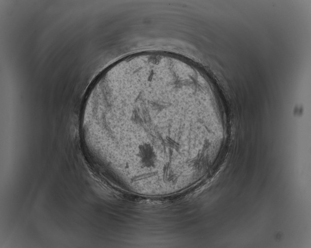 X0000096981505200803071018