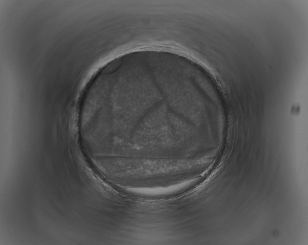 X0000096981506200803071018