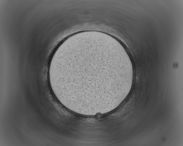 X0000096981507200803071018