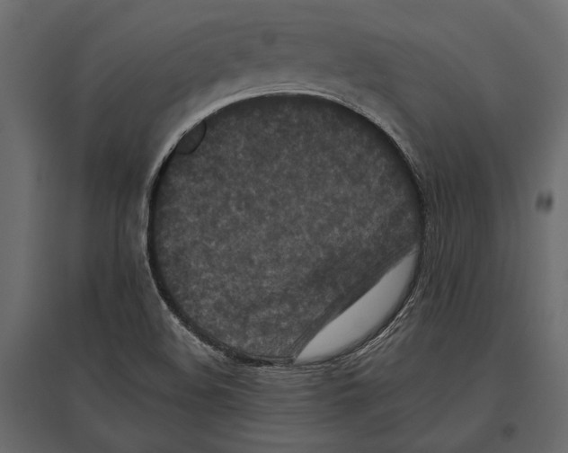 X0000096981508200803071018