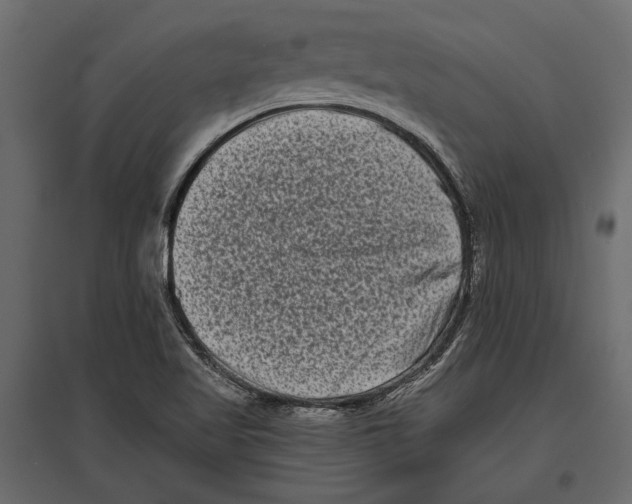 X0000096981509200803071018