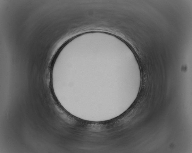 X0000096981511200803071018