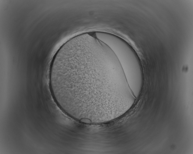 X0000096981512200803071018