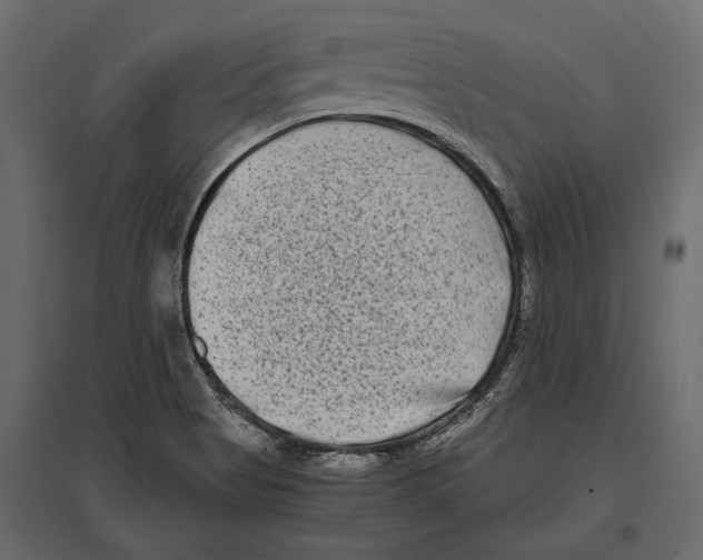 X0000096981513200803071018