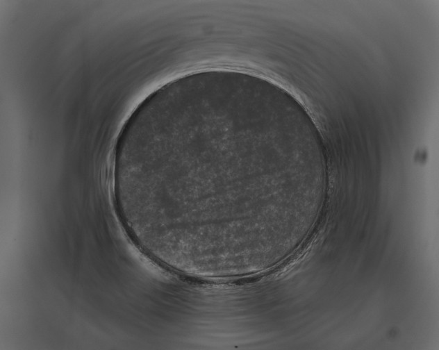 X0000096981515200803071018