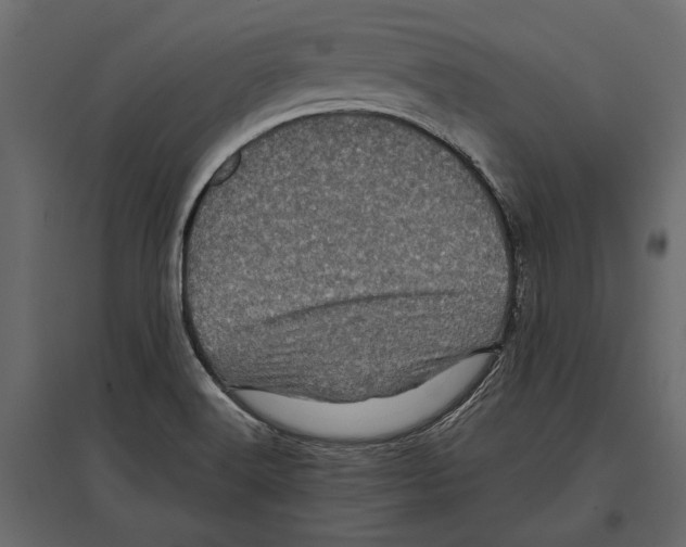 X0000096981516200803071018