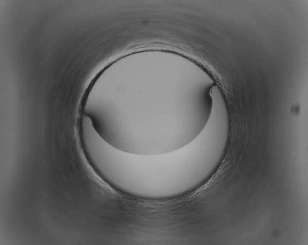 X0000096981518200803071018