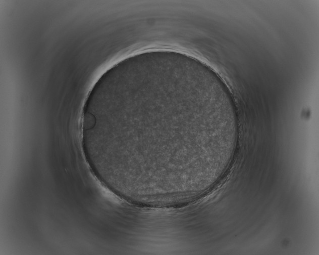 X0000096981519200803071018