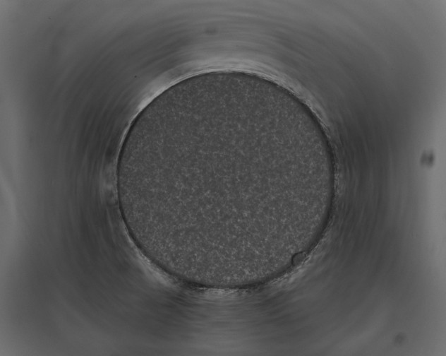 X0000096981521200803071018