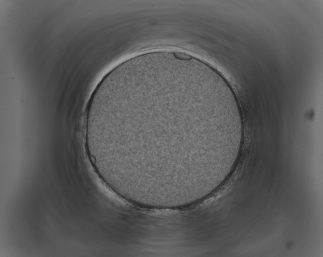 X0000096981526200803071018