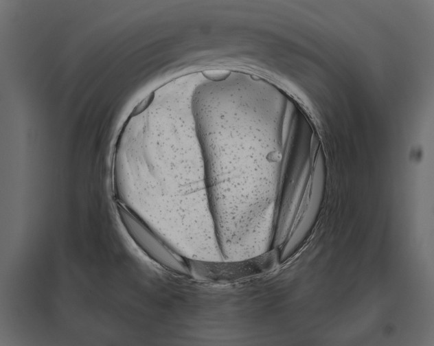 X0000096981528200803071018