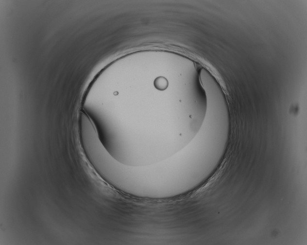 X0000096981530200803071018