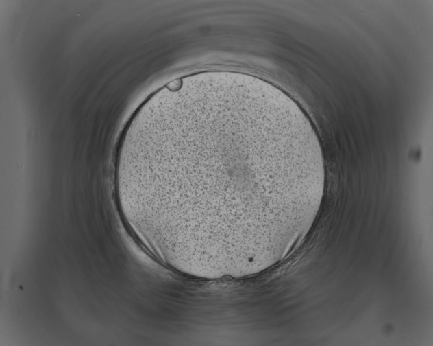 X0000096981531200803071018