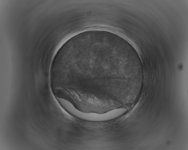 X0000096981533200803071018