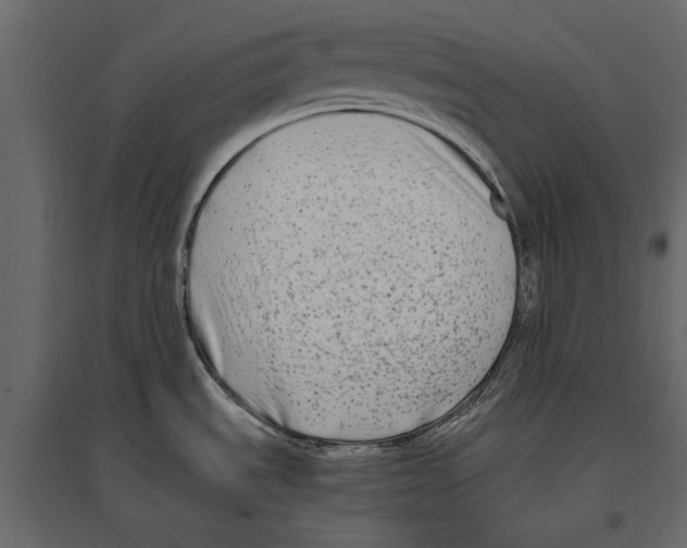 X0000096981535200803071018