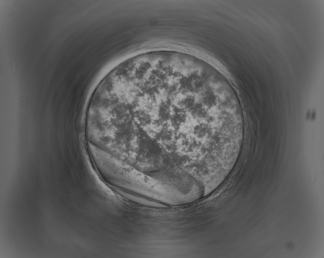 X0000096981536200803071018