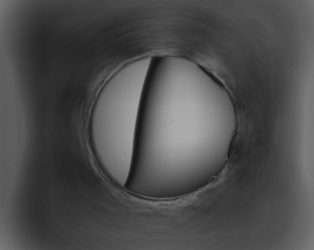X0000096990001200802080929