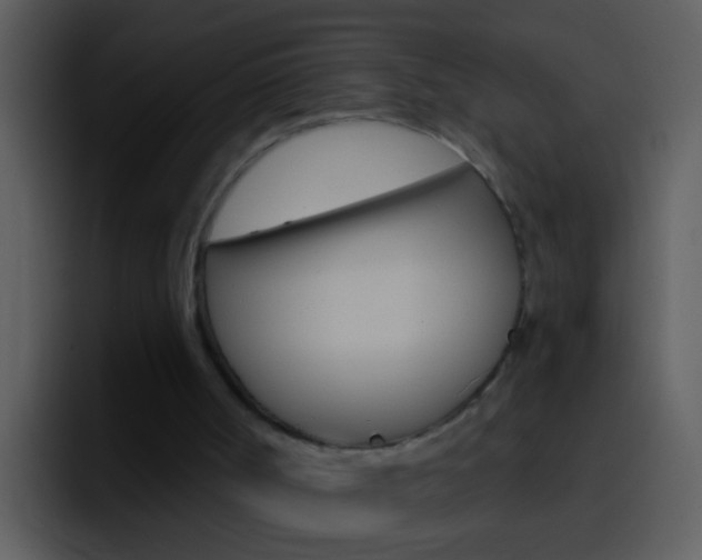 X0000096990002200802080929