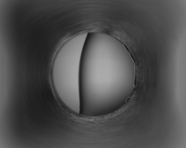 X0000096990003200802080928