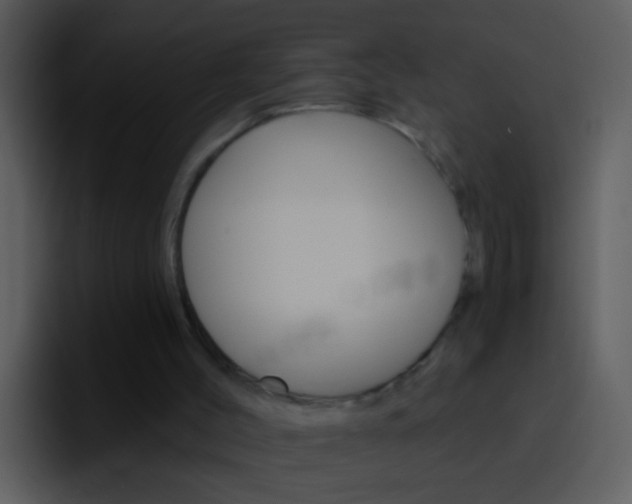 X0000096990004200802080928