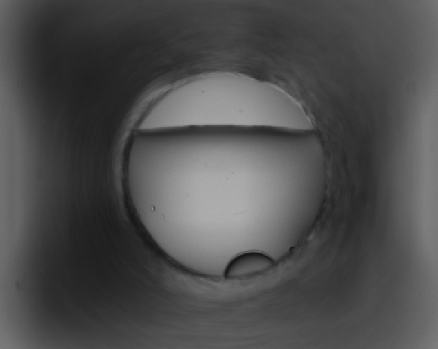 X0000096990006200802080928