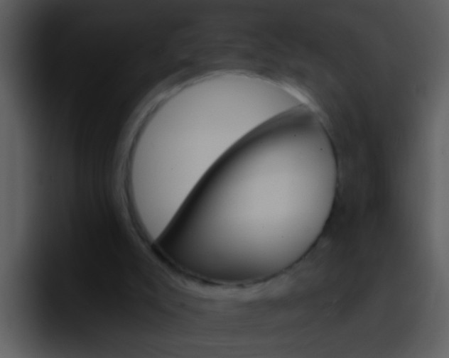 X0000096990007200802080928