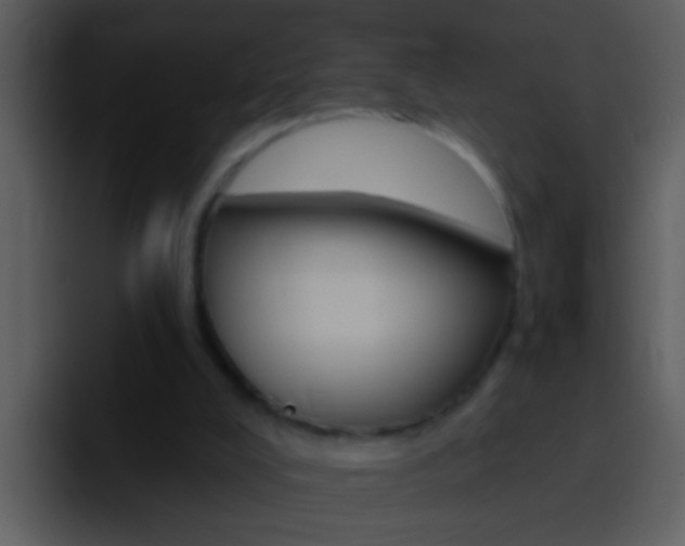 X0000096990008200802080928