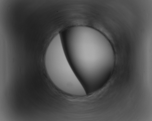 X0000096990009200802080928