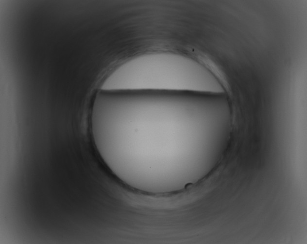 X0000096990010200802080928