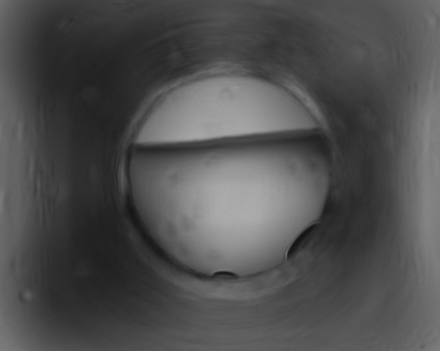 X0000096990011200802080928