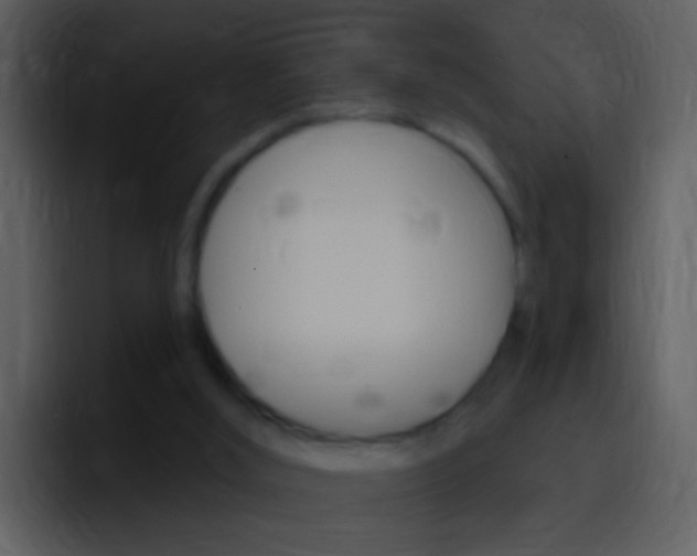 X0000096990012200802080928