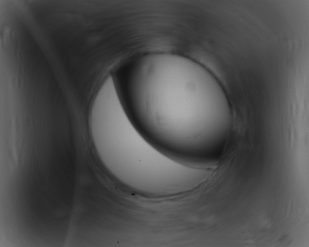 X0000096990013200802080928
