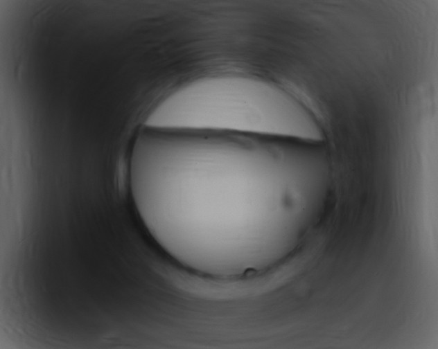 X0000096990014200802080928